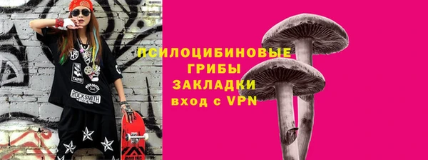 ГАЛЛЮЦИНОГЕННЫЕ ГРИБЫ Балахна