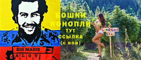 ГАЛЛЮЦИНОГЕННЫЕ ГРИБЫ Балахна