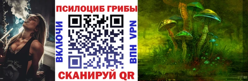 shop клад  Рассказово  Галлюциногенные грибы Magic Shrooms  даркнет сайт 