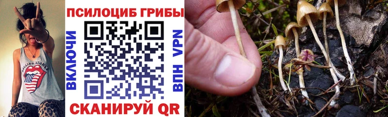 Псилоцибиновые грибы ЛСД Рассказово
